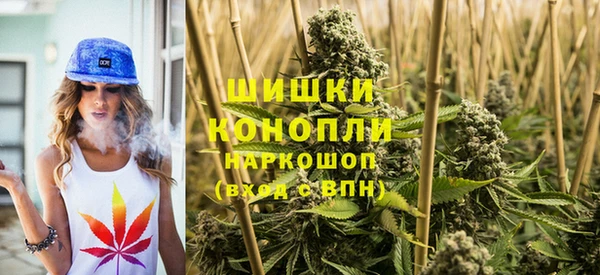 Альфа ПВП Арсеньев