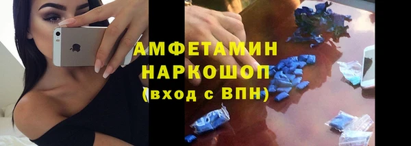стаф Алексин