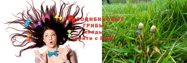Альфа ПВП Арсеньев